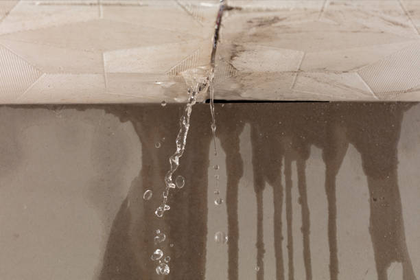 Professional Structural Drying technician working in Briggs, TX